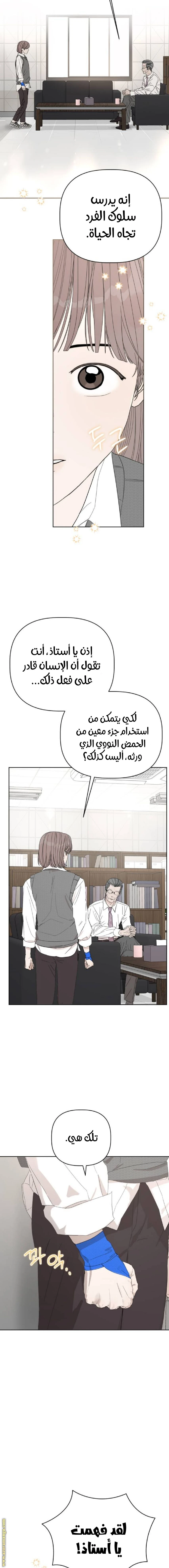 الصفحة 15