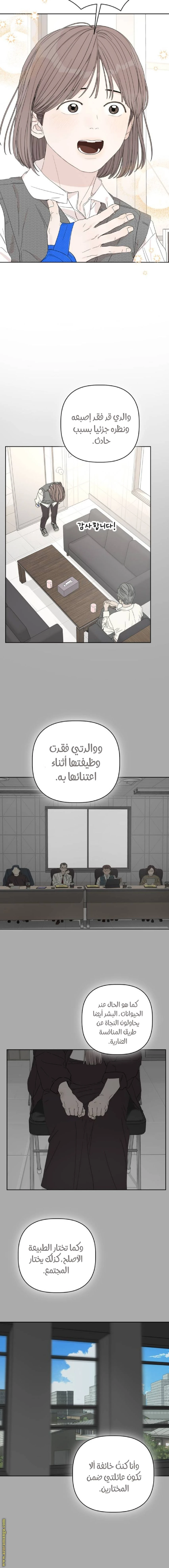 الصفحة 16