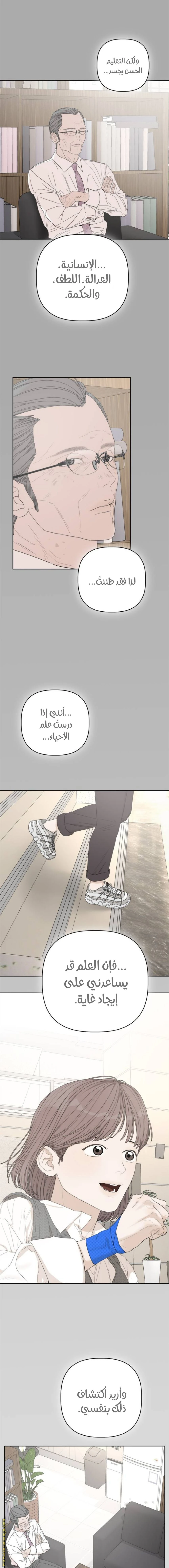 الصفحة 17