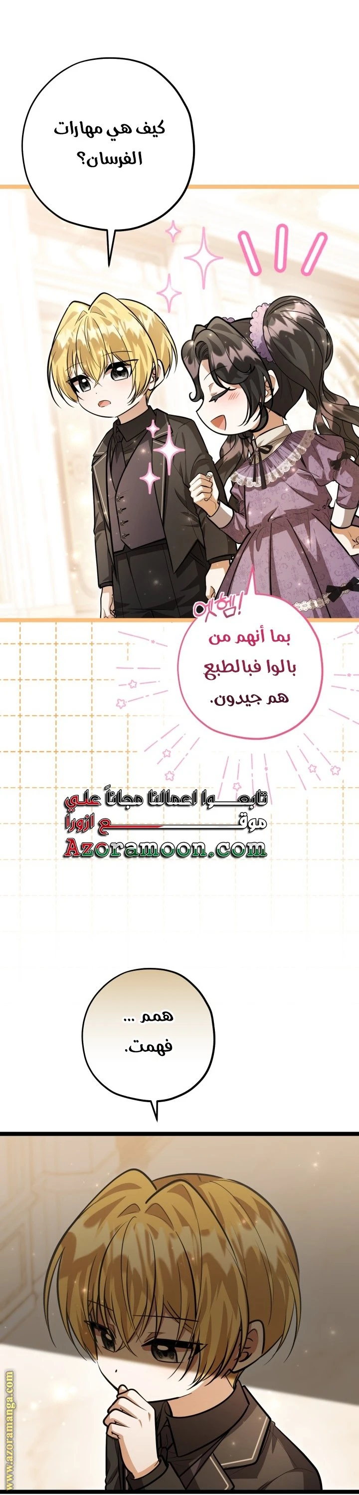 الصفحة 26