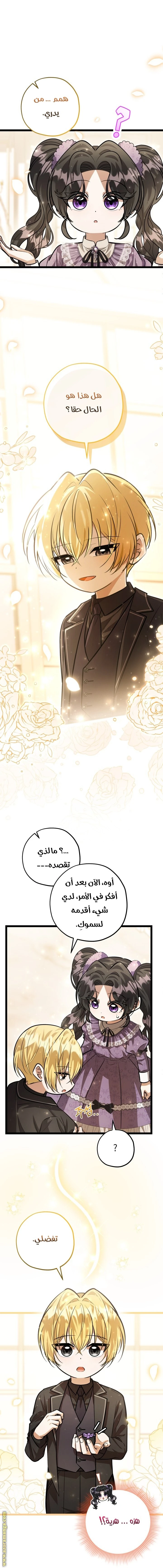الصفحة 28