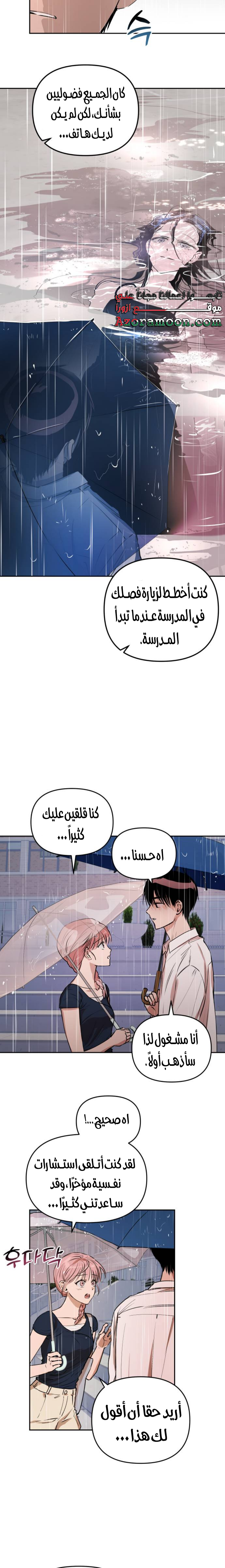 الصفحة 17