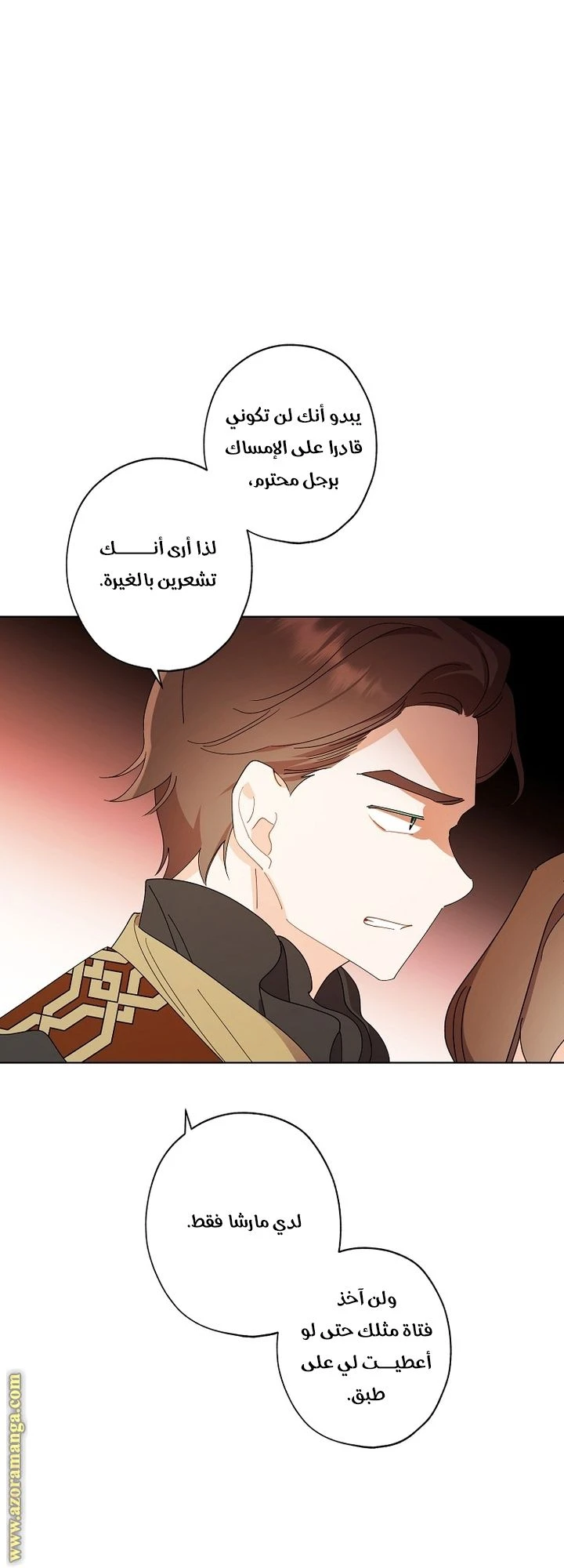 الصفحة 28