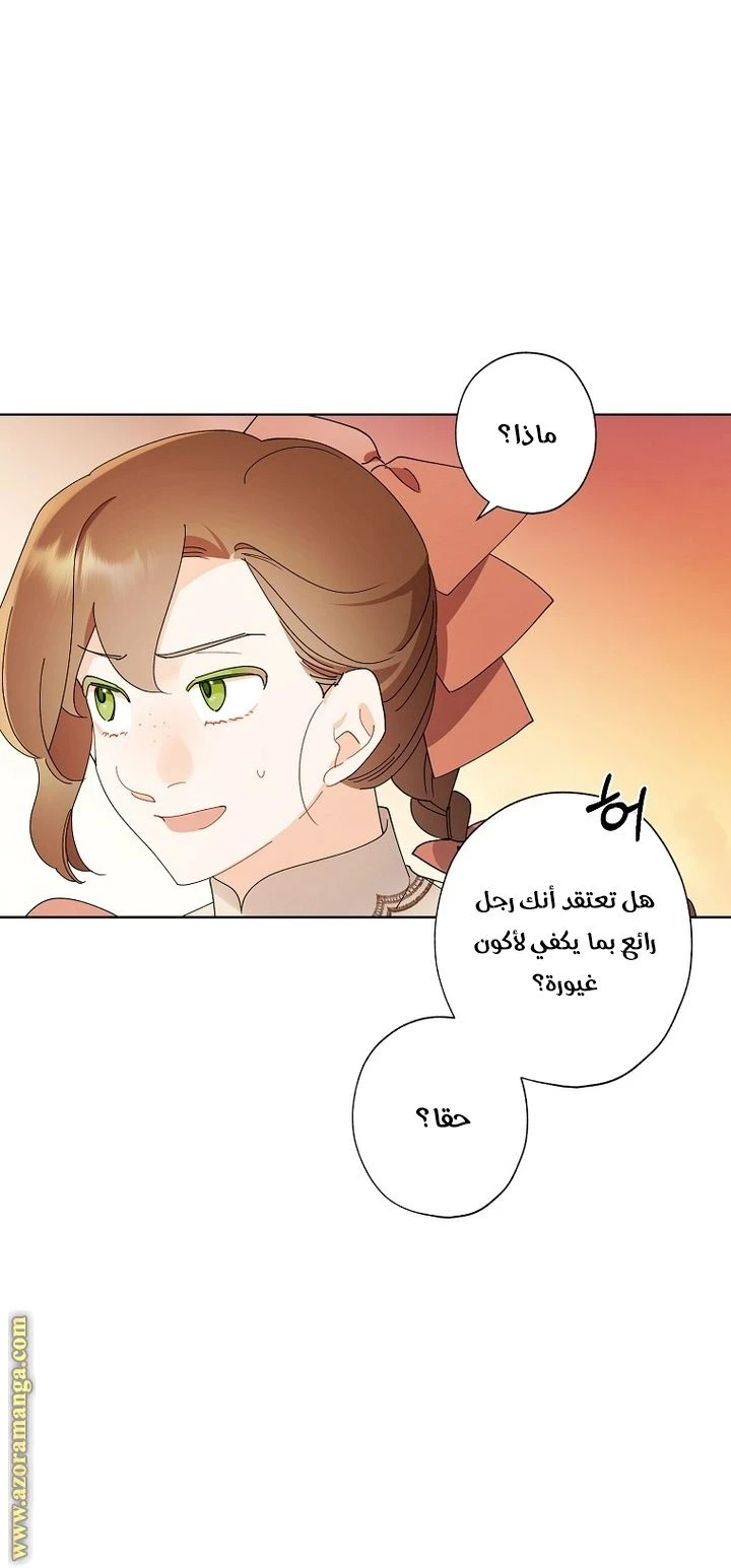 الصفحة 29