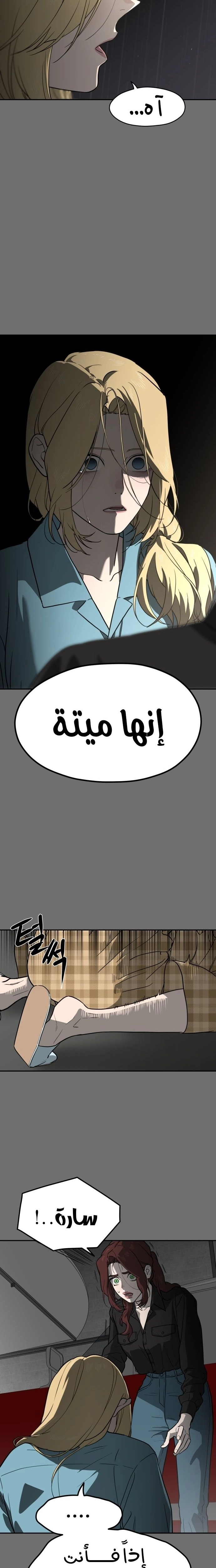 الصفحة 14