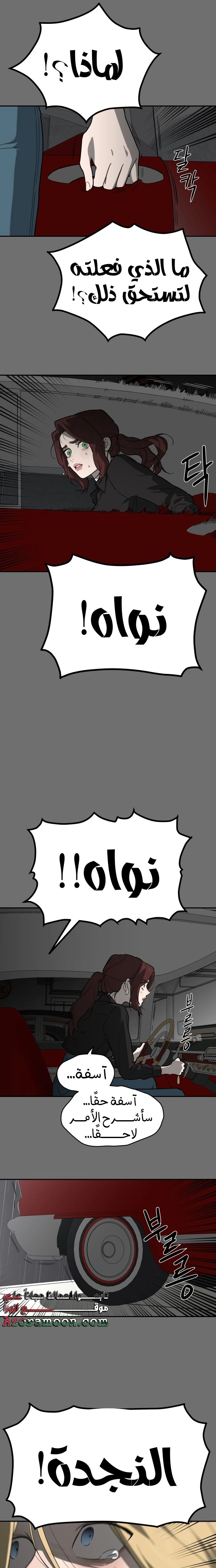 الصفحة 17