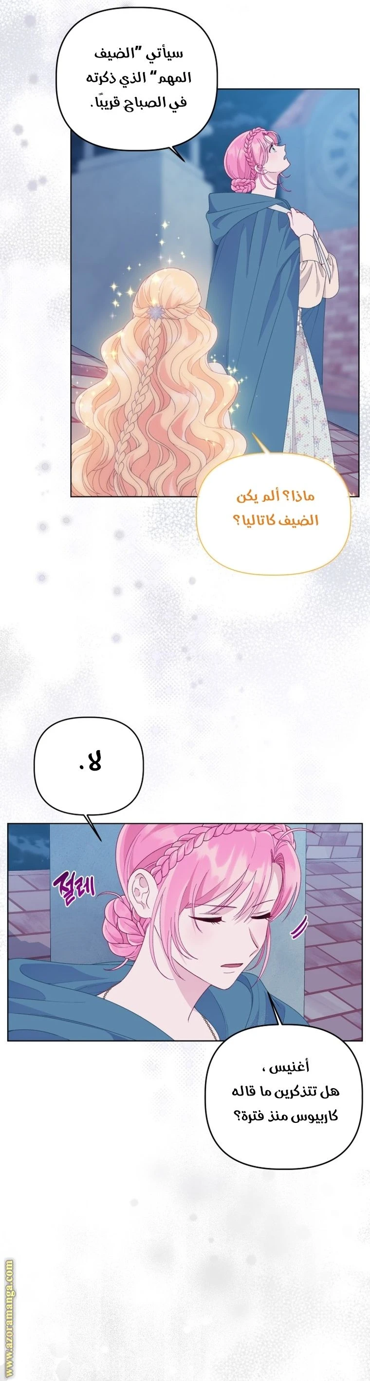 الصفحة 17