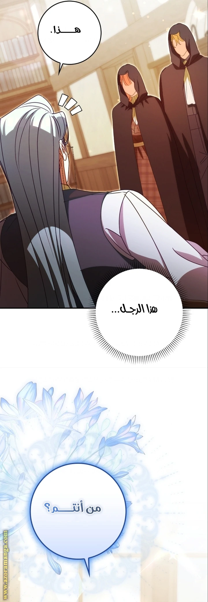 الصفحة 17