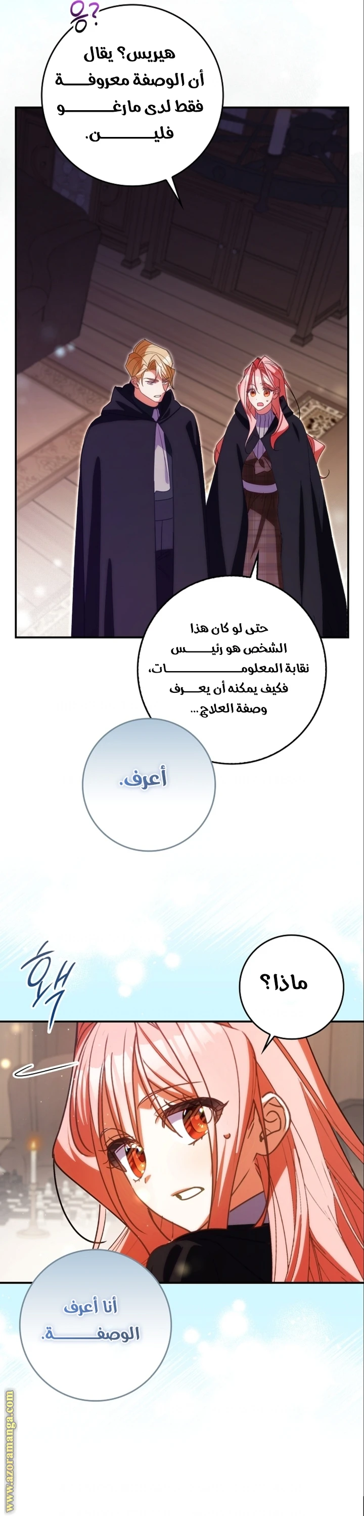 الصفحة 25