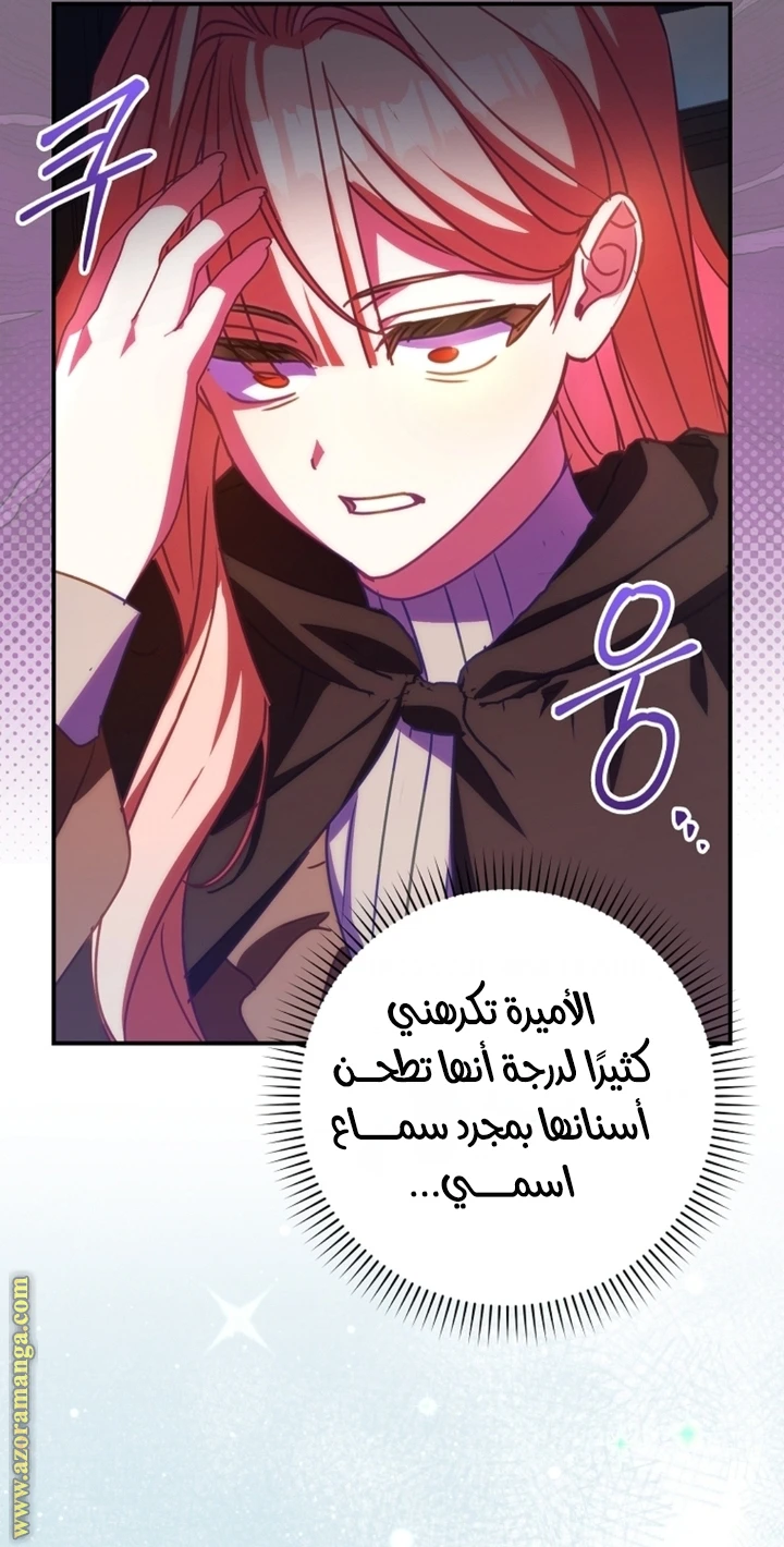 الصفحة 47