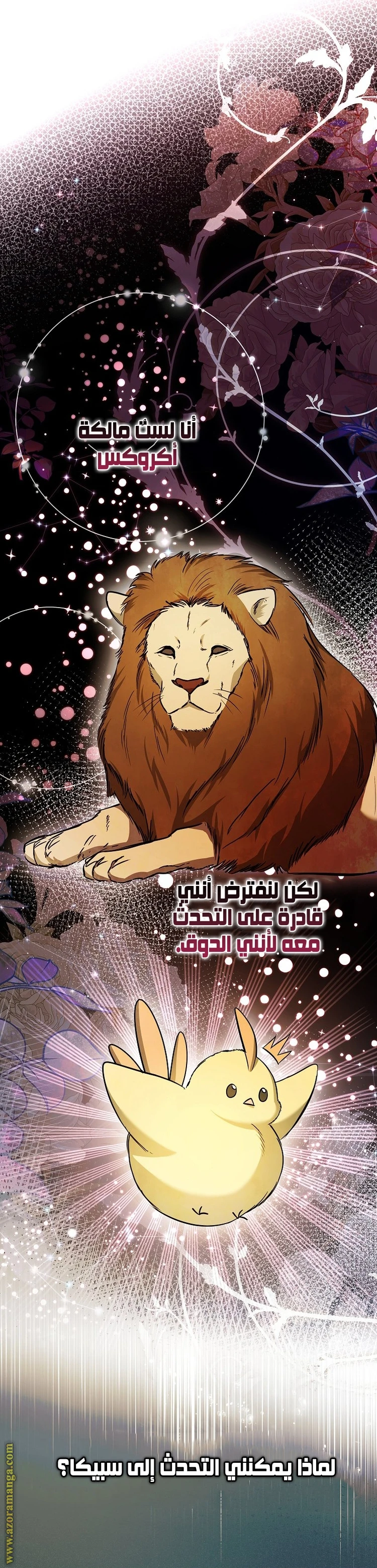 الصفحة 16