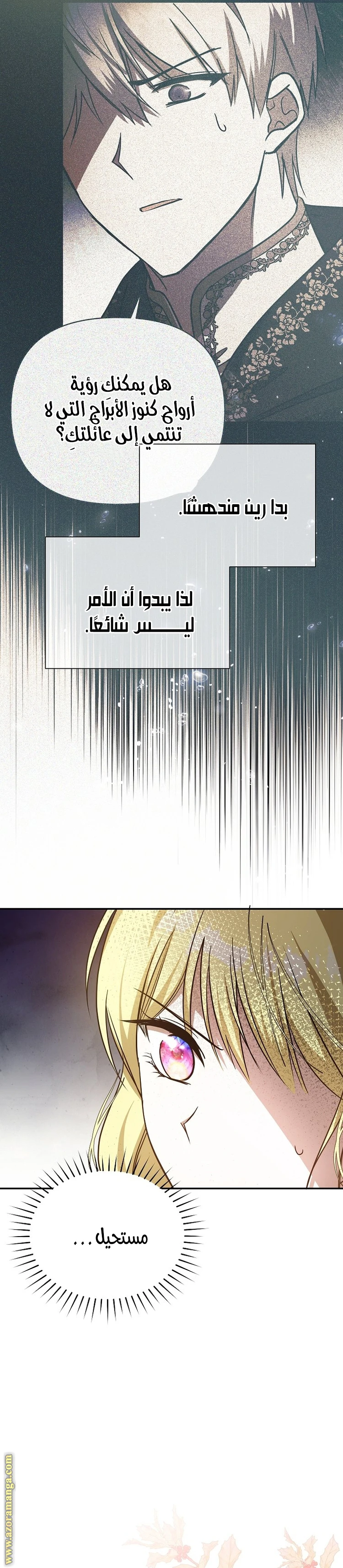 الصفحة 17