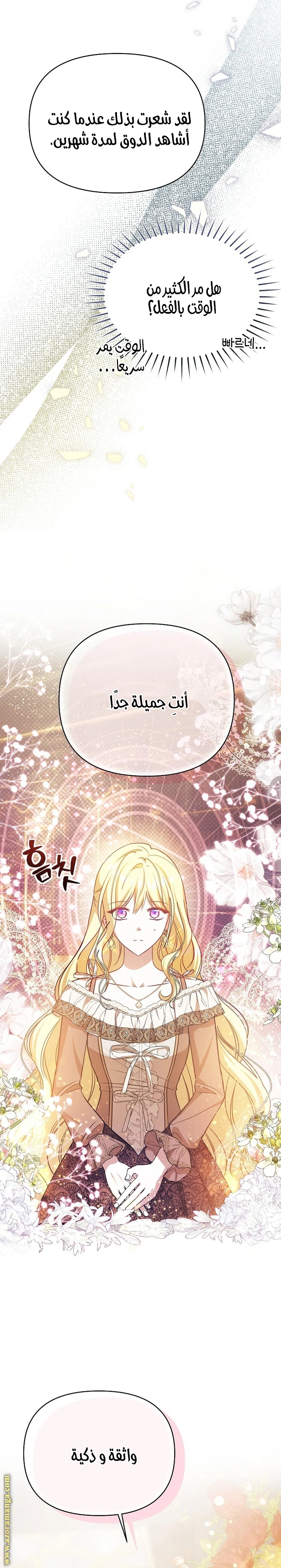 الصفحة 24