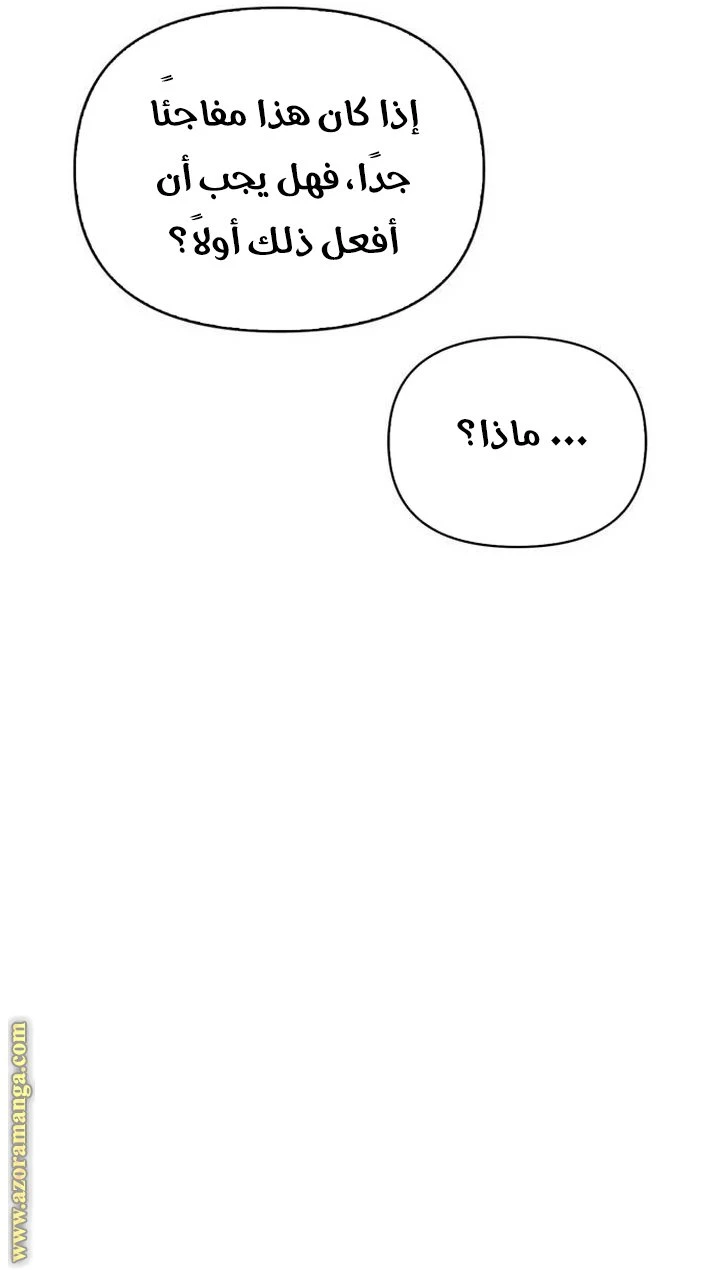 الصفحة 40