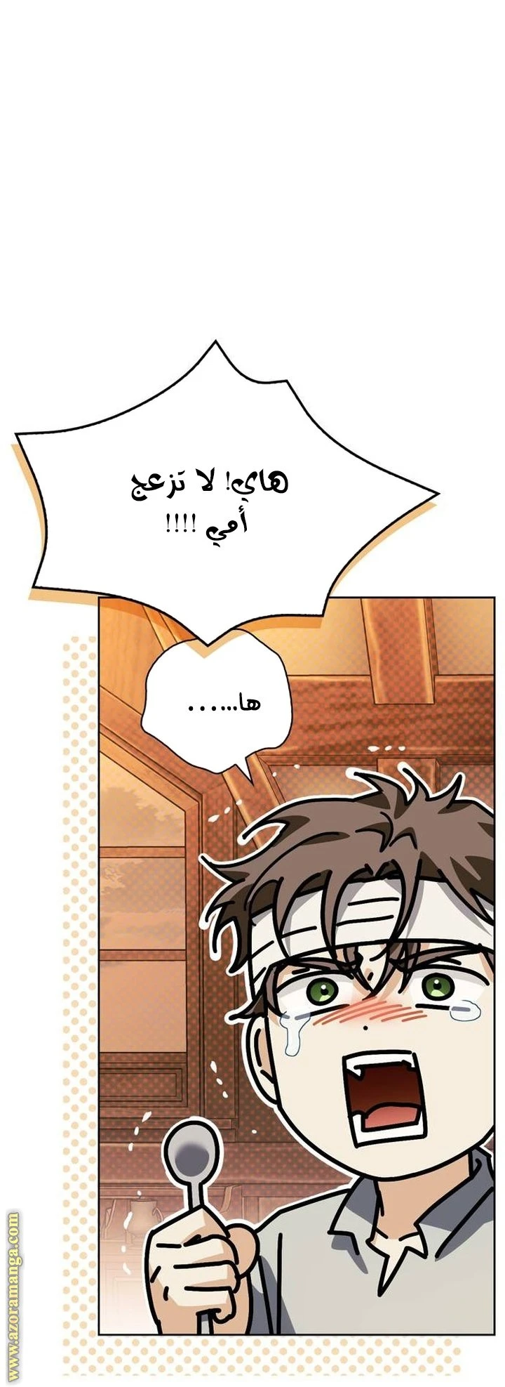 الصفحة 68