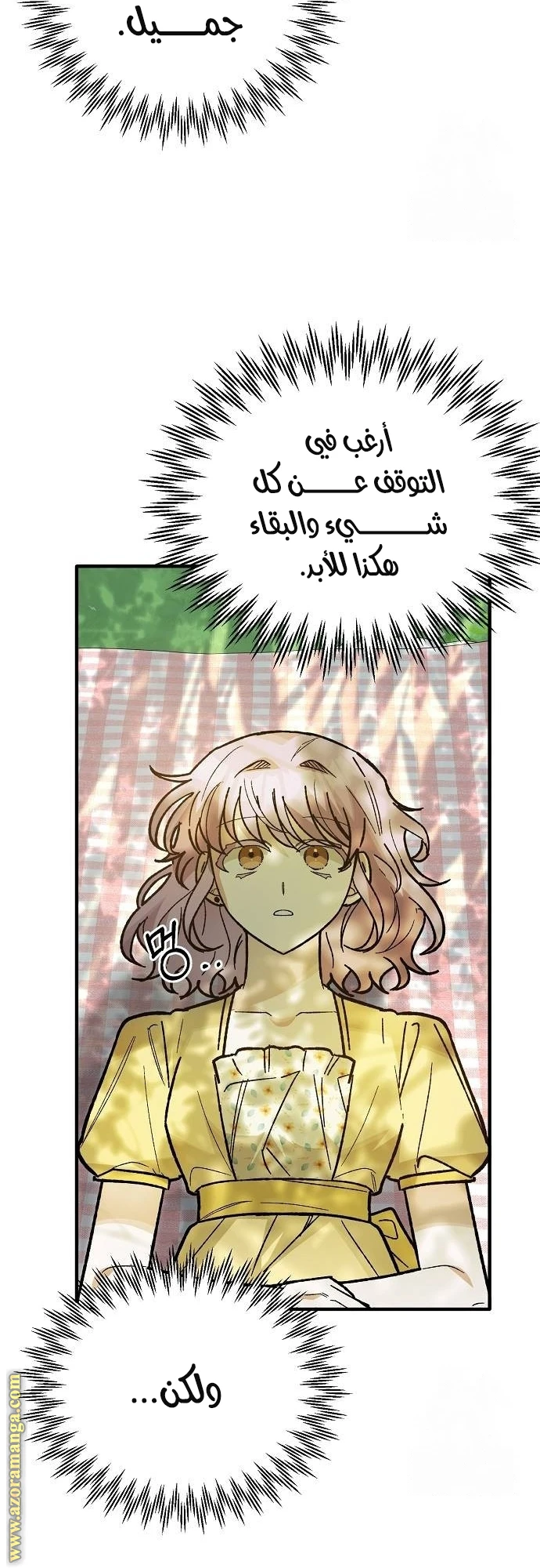 الصفحة 25