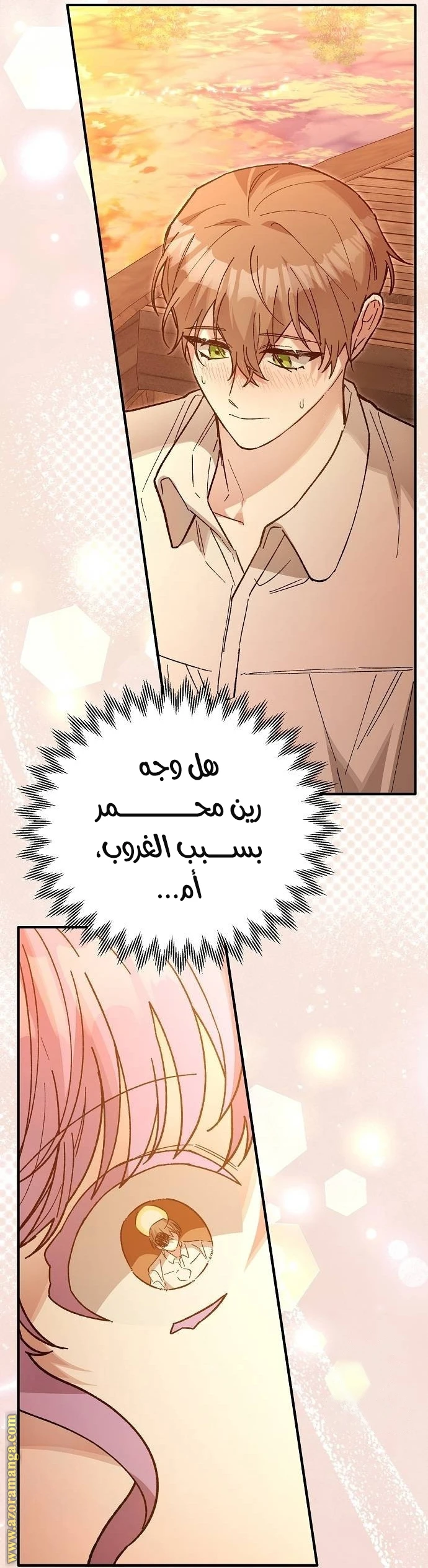 الصفحة 55