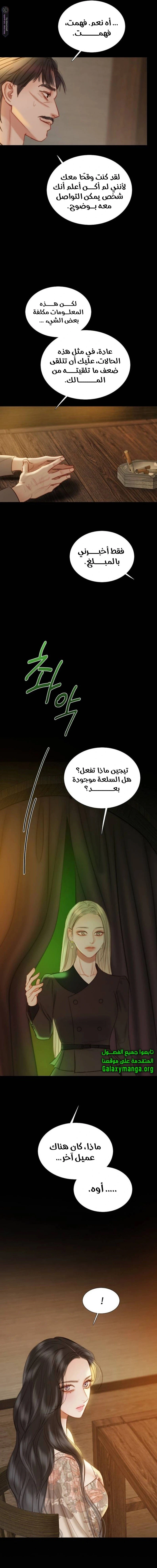 الصفحة 13