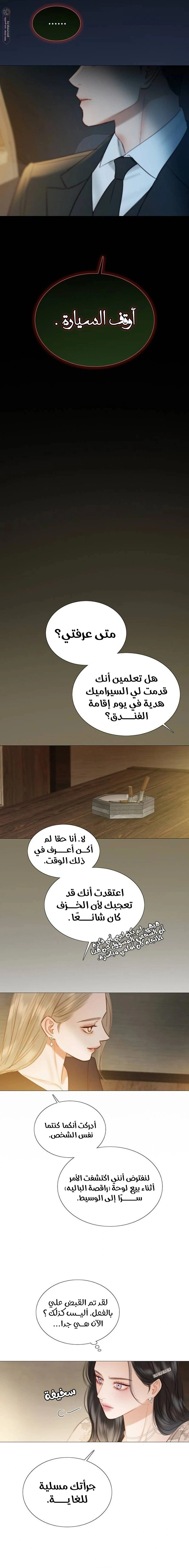 الصفحة 17