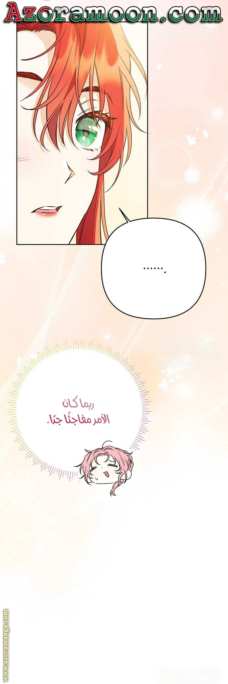الصفحة 25