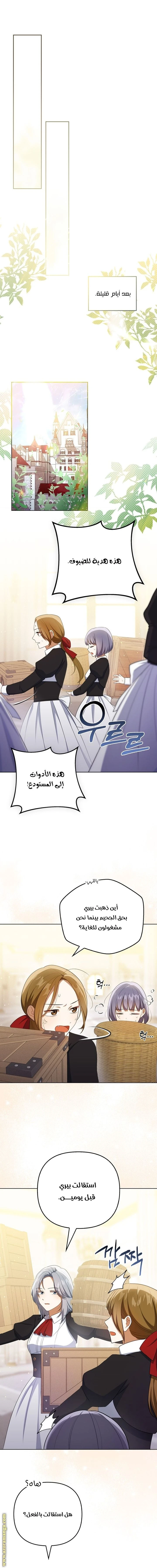 الصفحة 8