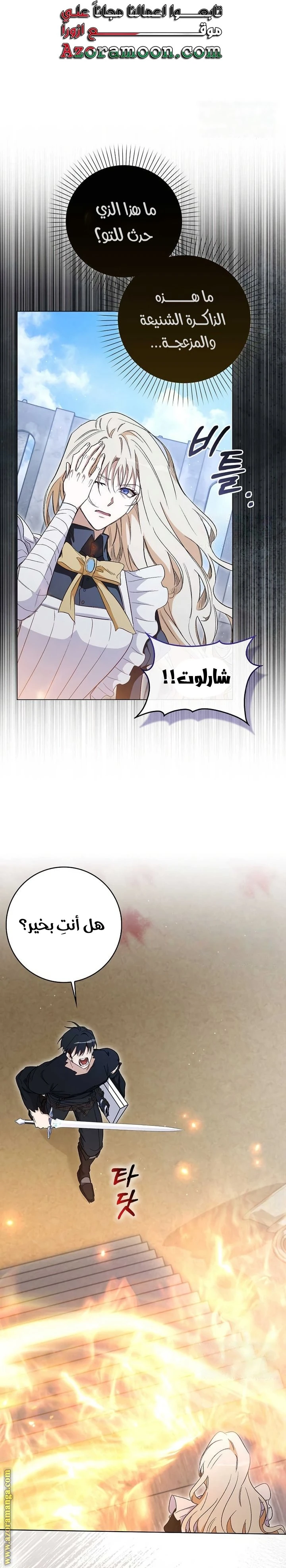 الصفحة 14