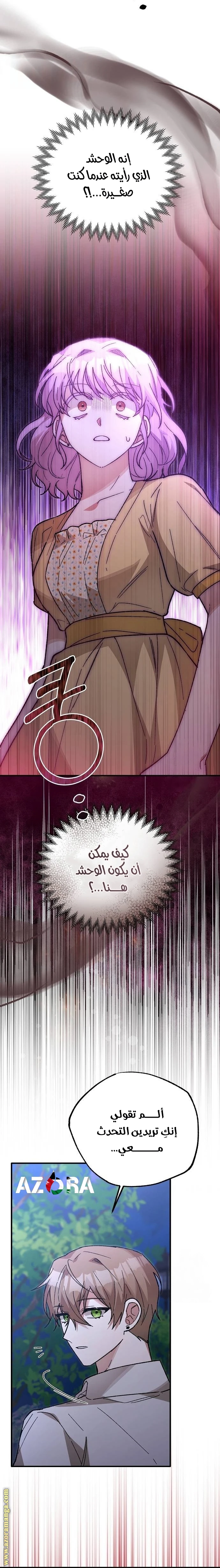 الصفحة 29