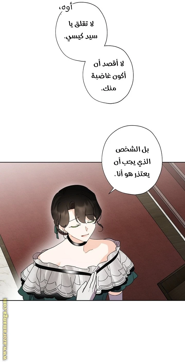 الصفحة 17