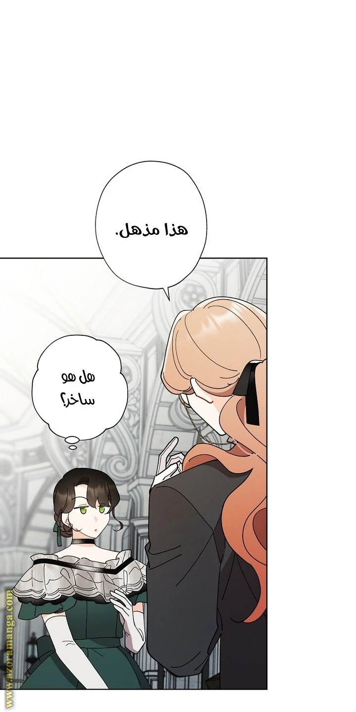 الصفحة 29
