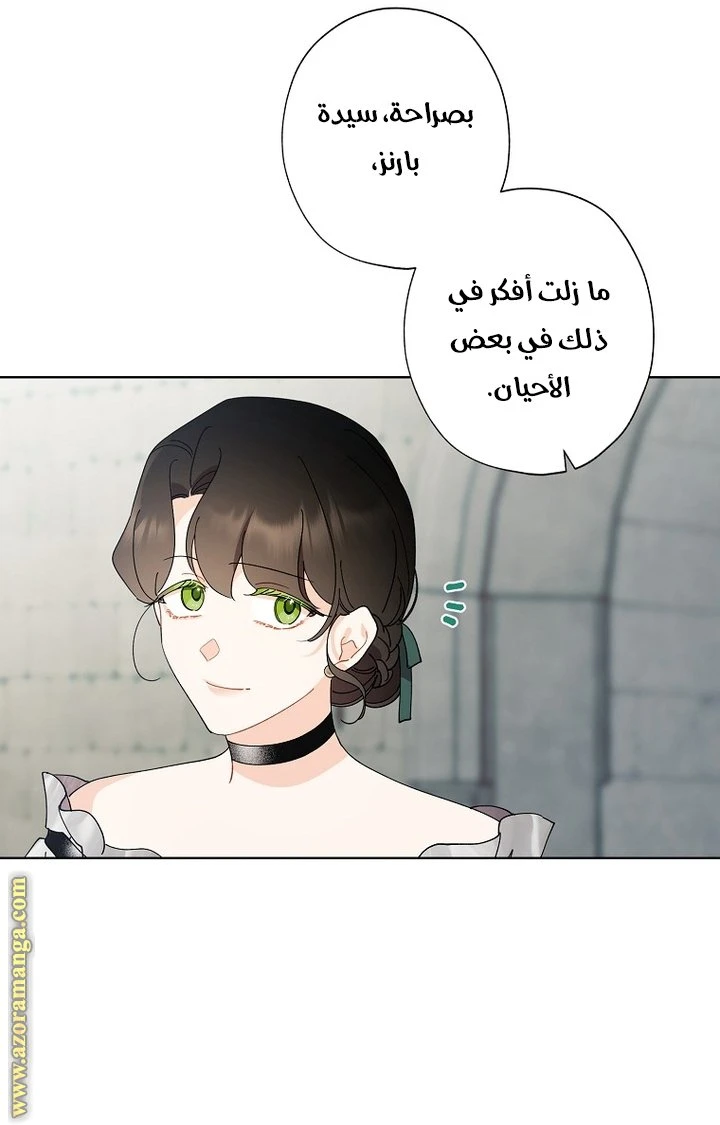 الصفحة 42