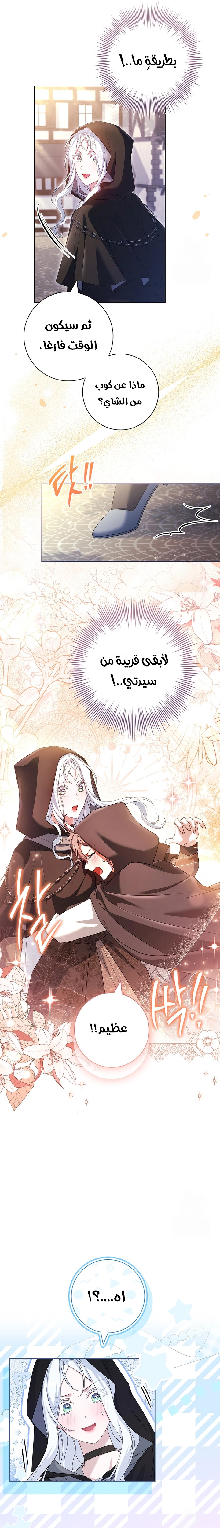 الصفحة 16