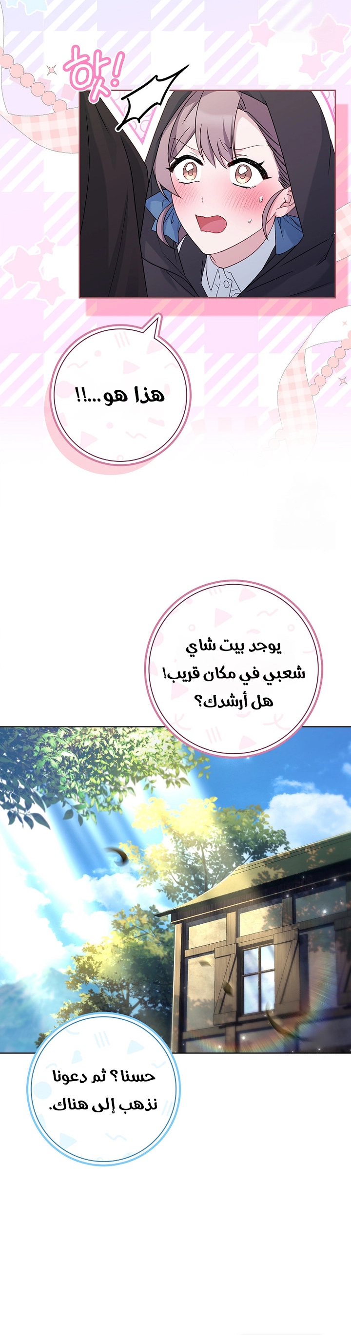 الصفحة 17