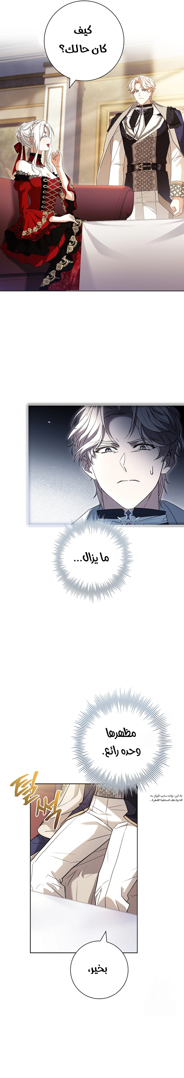 الصفحة 25