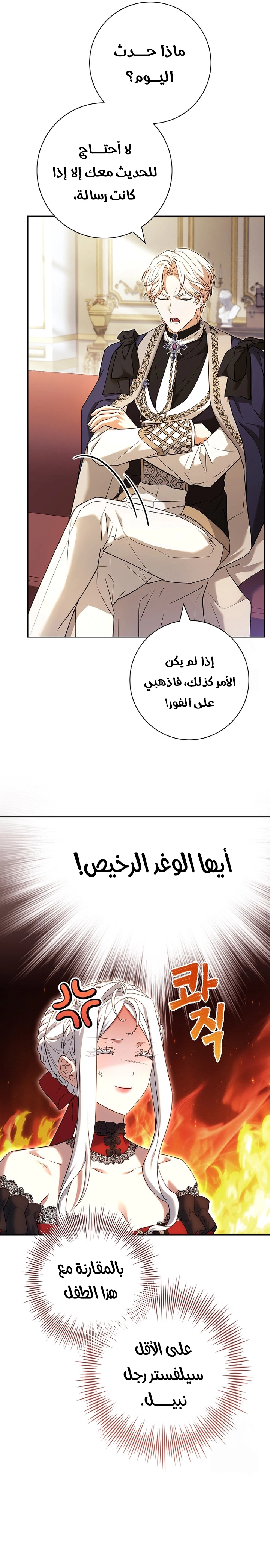 الصفحة 26