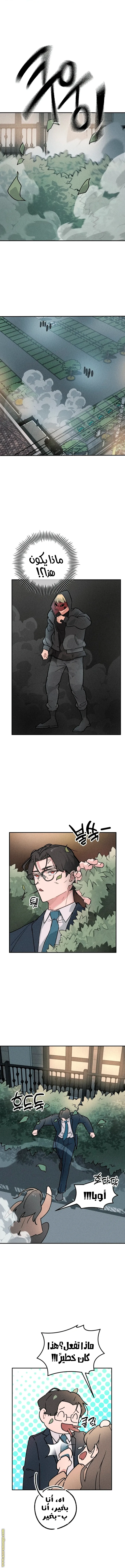 الصفحة 11