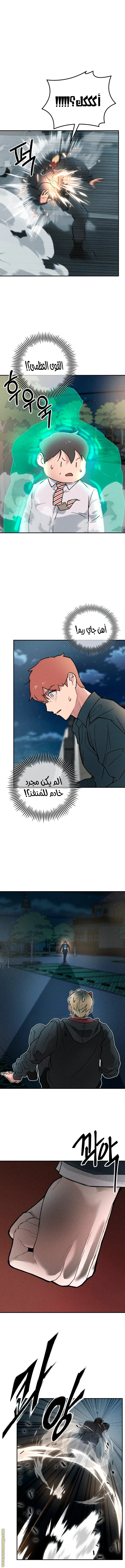 الصفحة 14