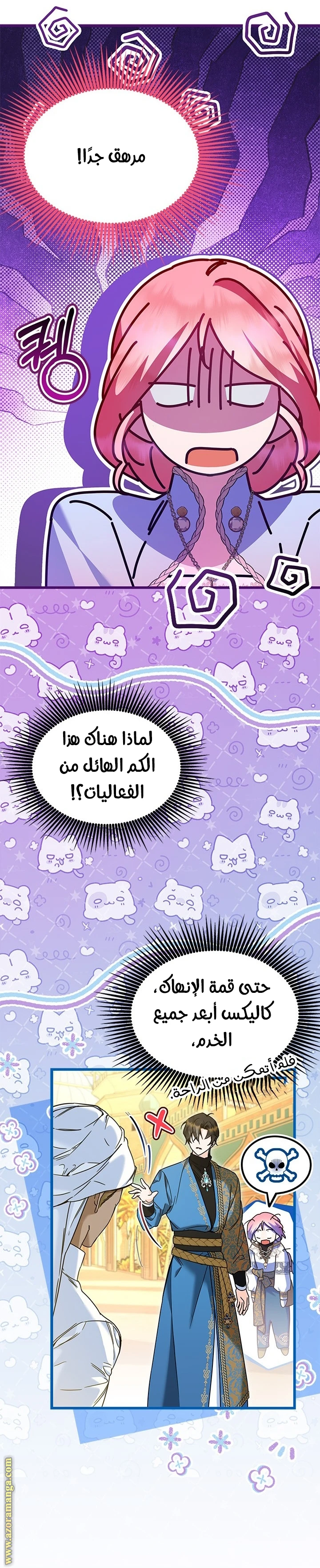 الصفحة 17