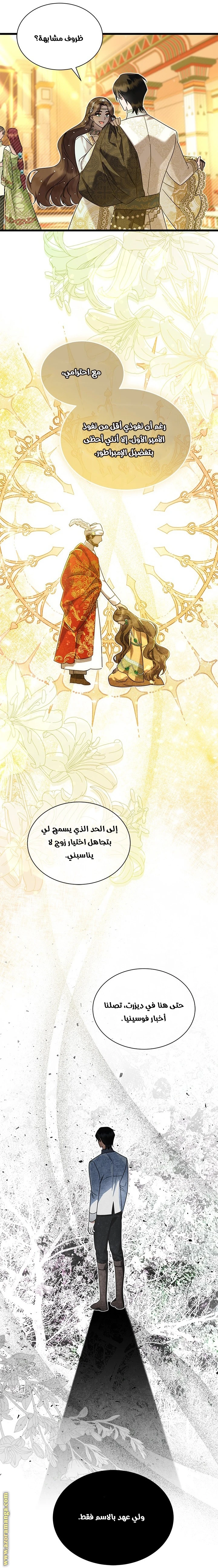 الصفحة 24