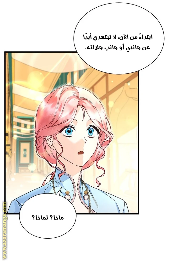 الصفحة 41
