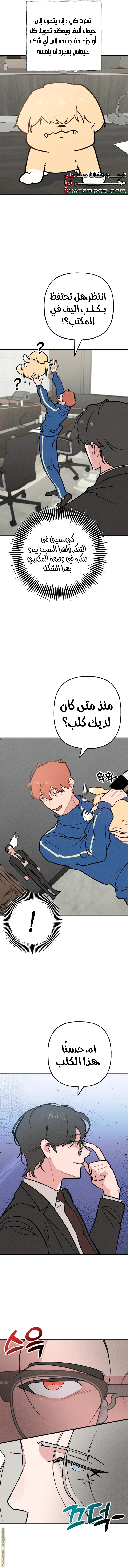 الصفحة 7