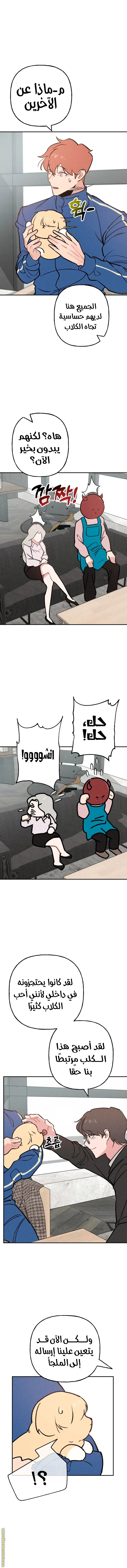 الصفحة 9
