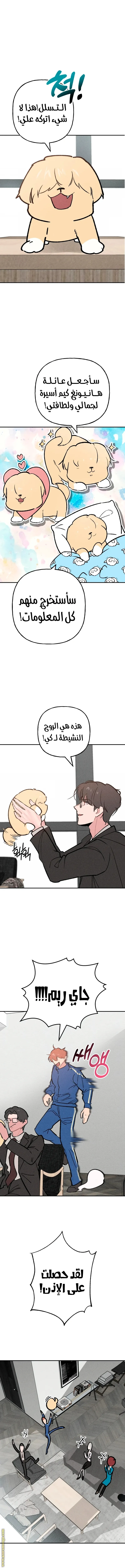 الصفحة 11