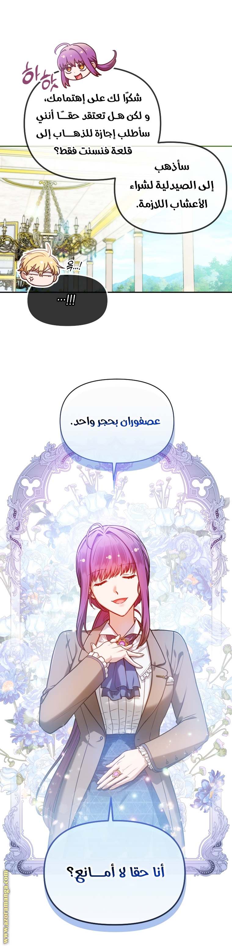 الصفحة 27