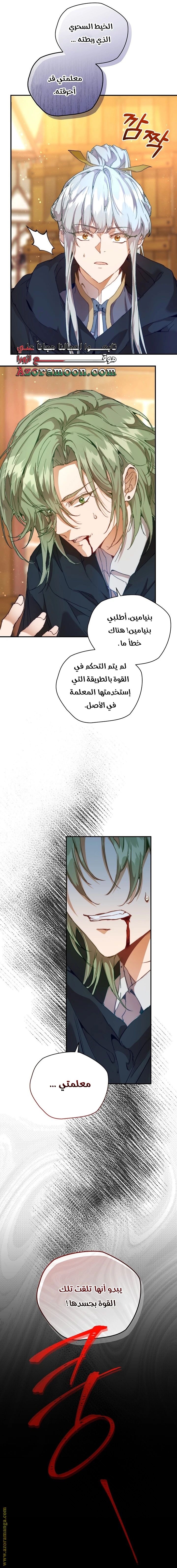 الصفحة 17