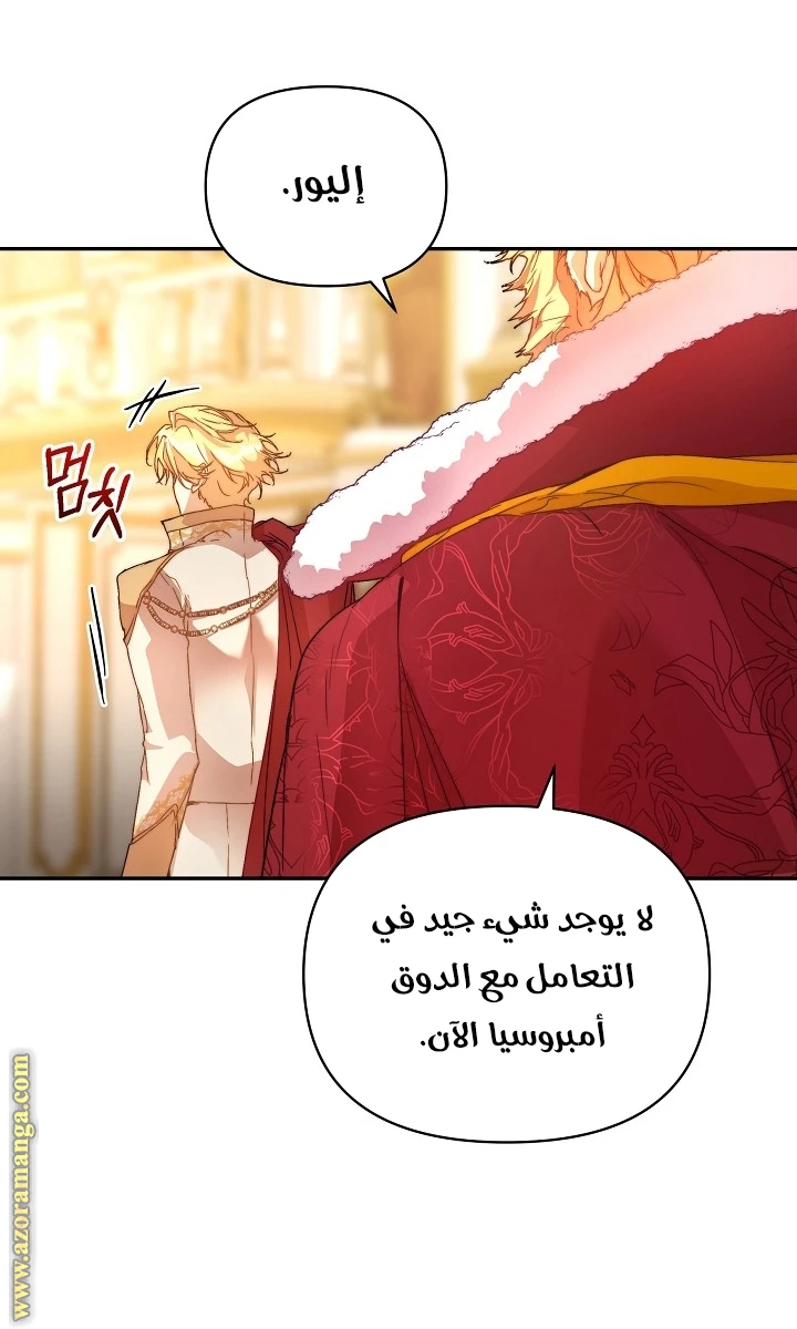 الصفحة 27