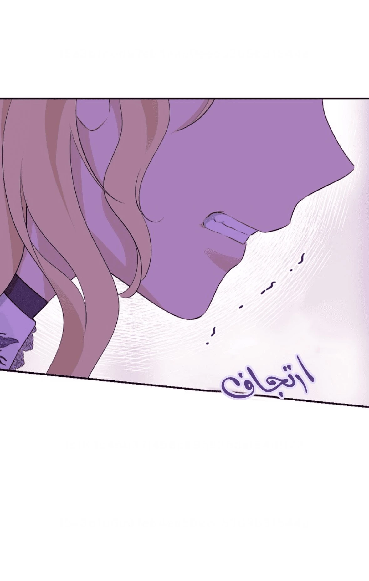 الصفحة 25