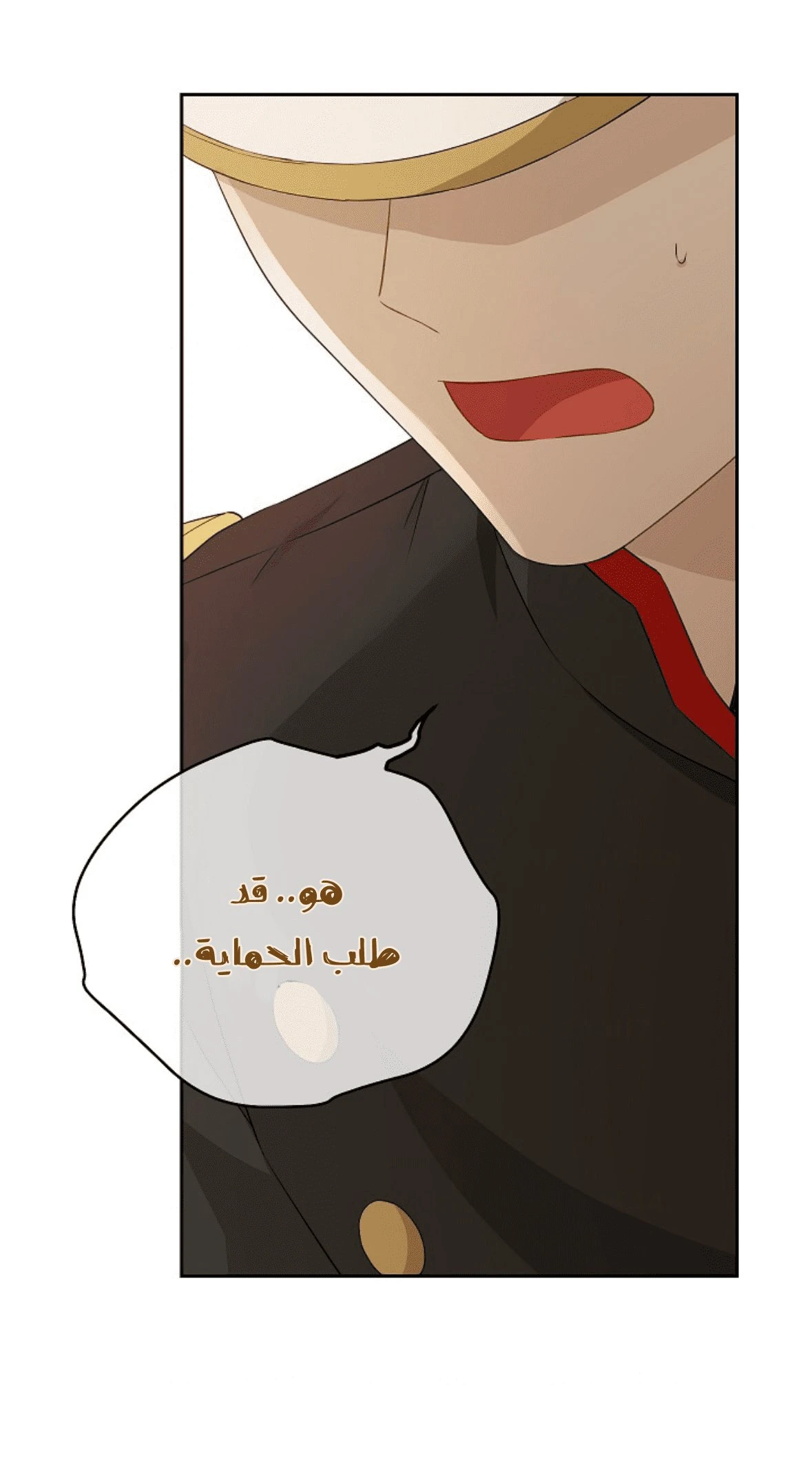 الصفحة 67