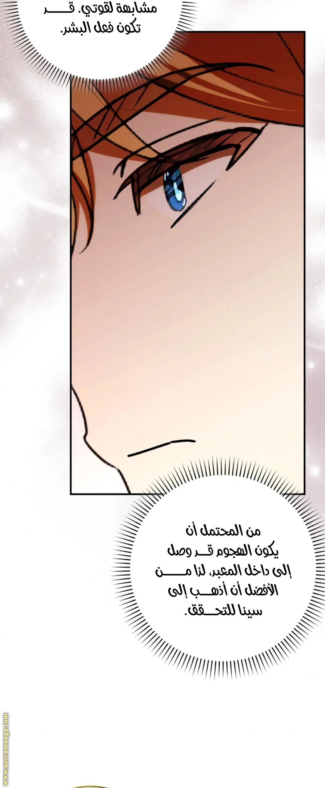 الصفحة 43
