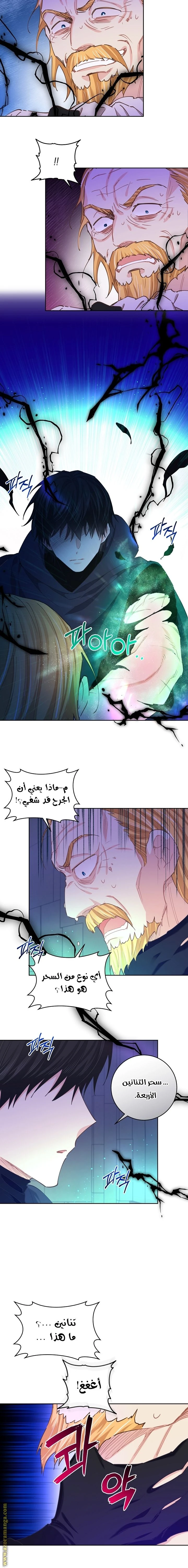 الصفحة 13