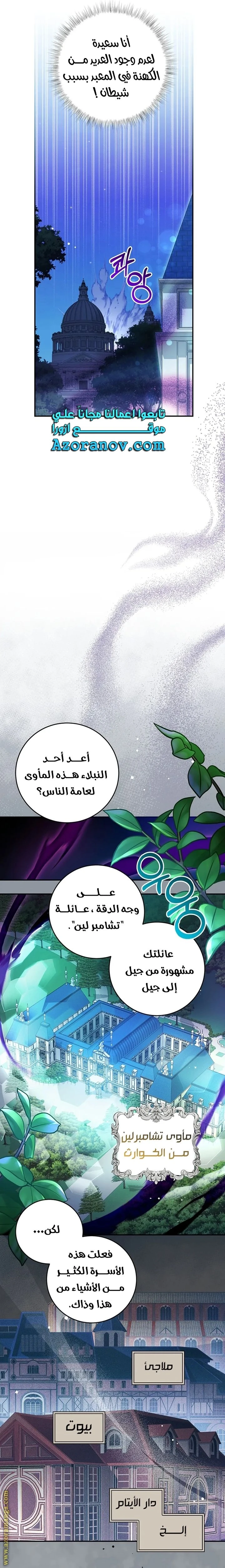 الصفحة 13